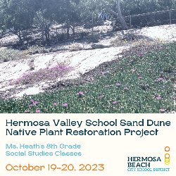 Hermosa Valley School Sand Dune Native Plant Restoration Project - Ms. Heath\'s 8th Grade Social Studies Classes - October 19-20, 2023